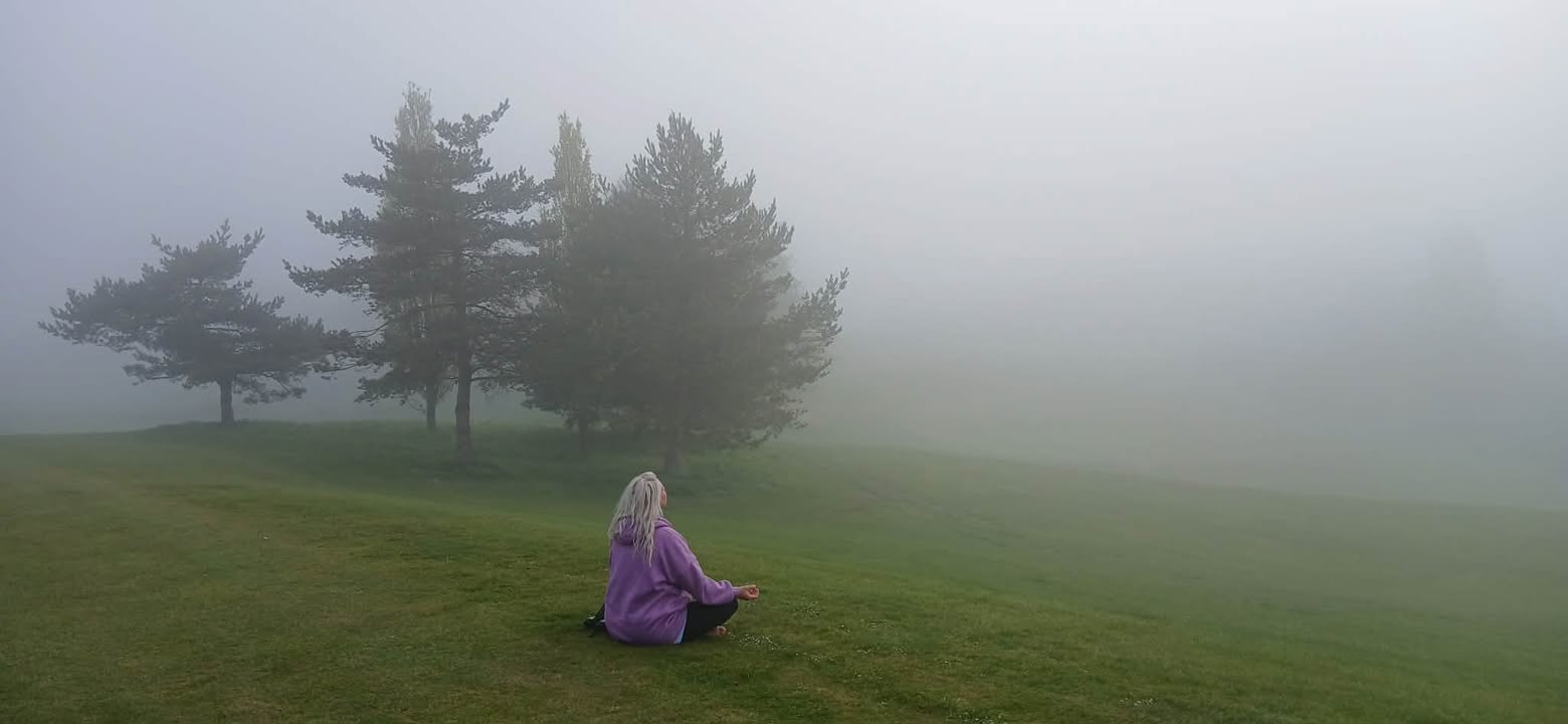 Enchanted Sanctuary